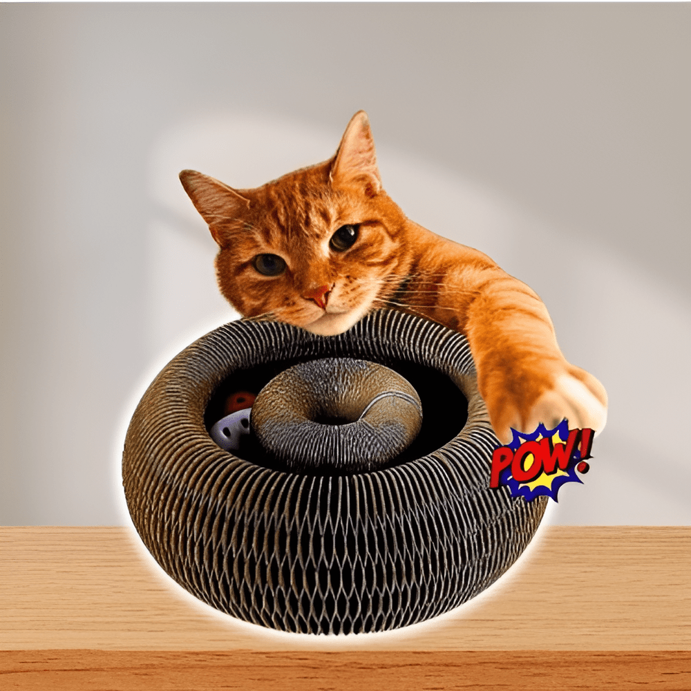 Kattenwervel™ - Kattenlieveling