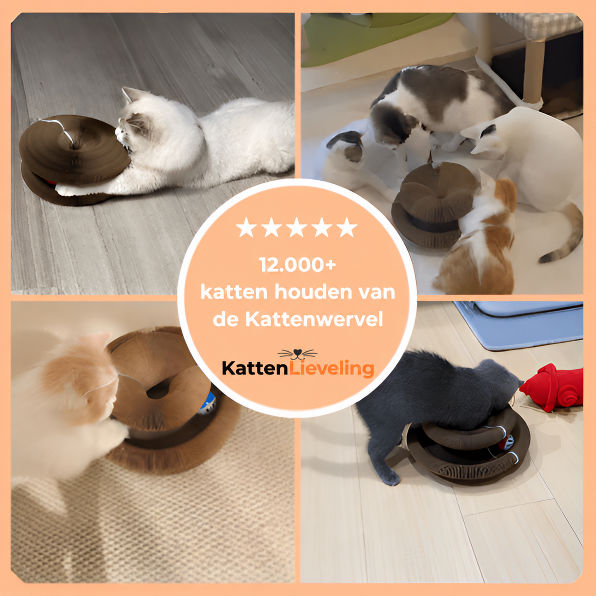 12.000+ katten houden van de Kattenwervel™