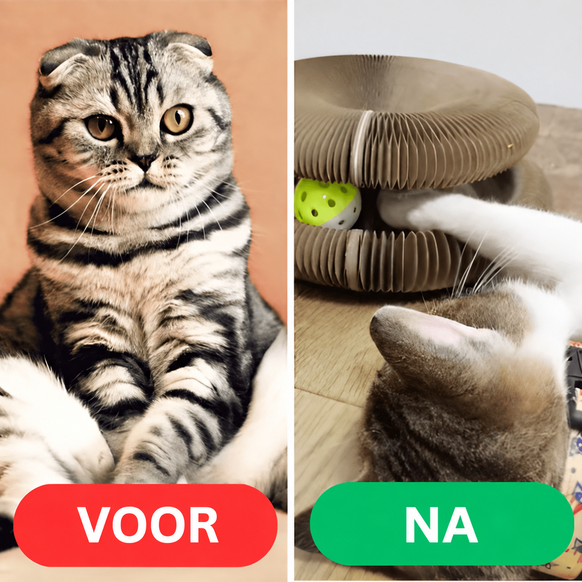 Kattenwervel™ voor en na