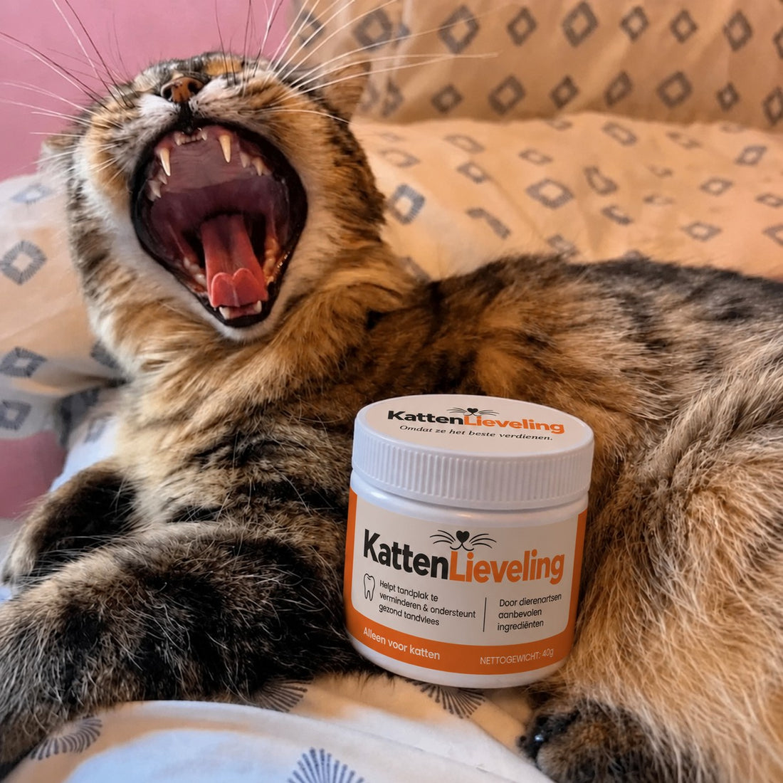 Kat gaapt naast een pot KattenLieveling tandpoeder