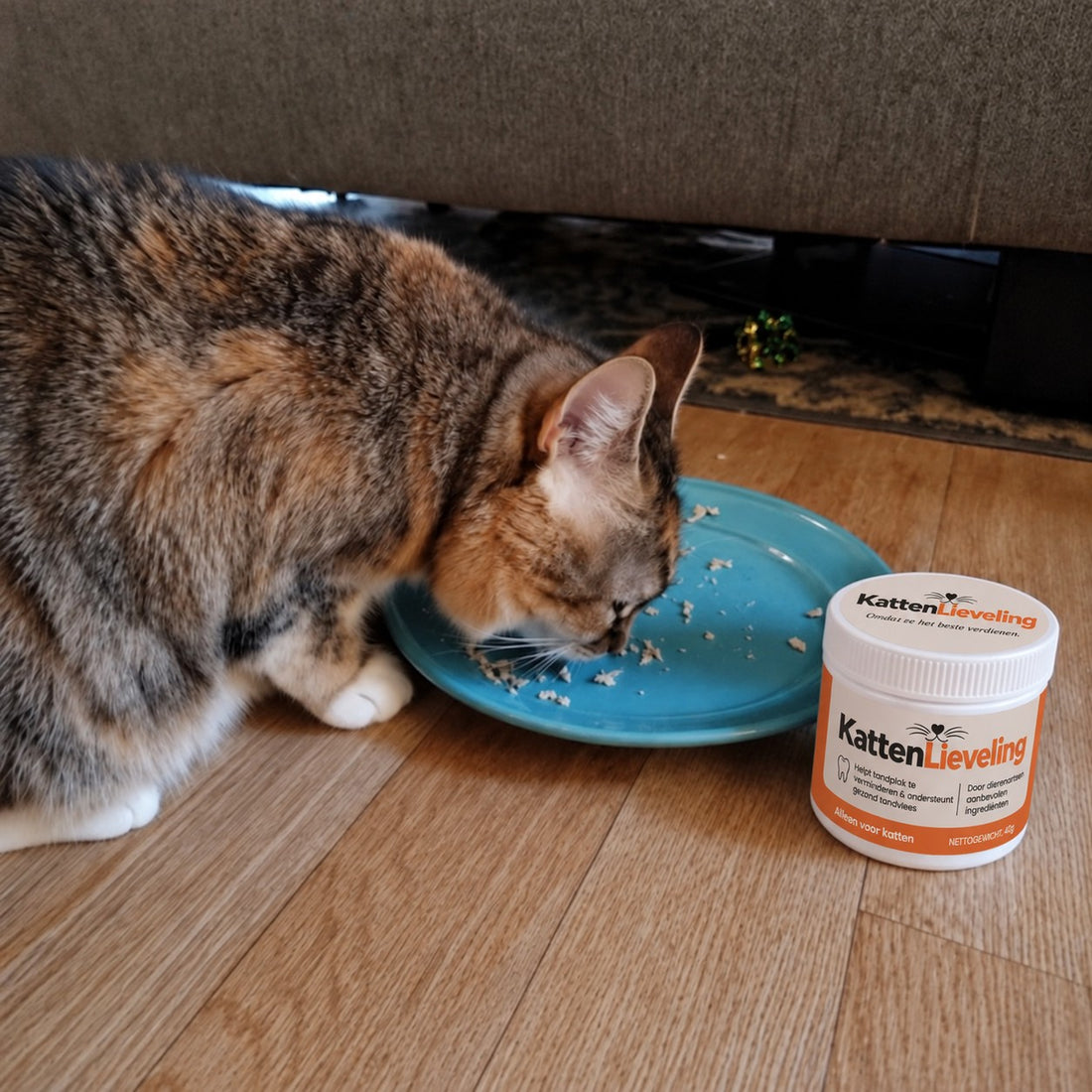 Kat eet van een bord naast een pot KattenLieveling